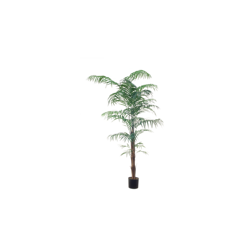 Palmier longues feuilles H=190cm